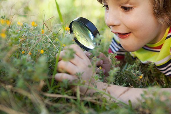 La imagen muestra a un niño recostado en el pasto mirando flores con una lupa