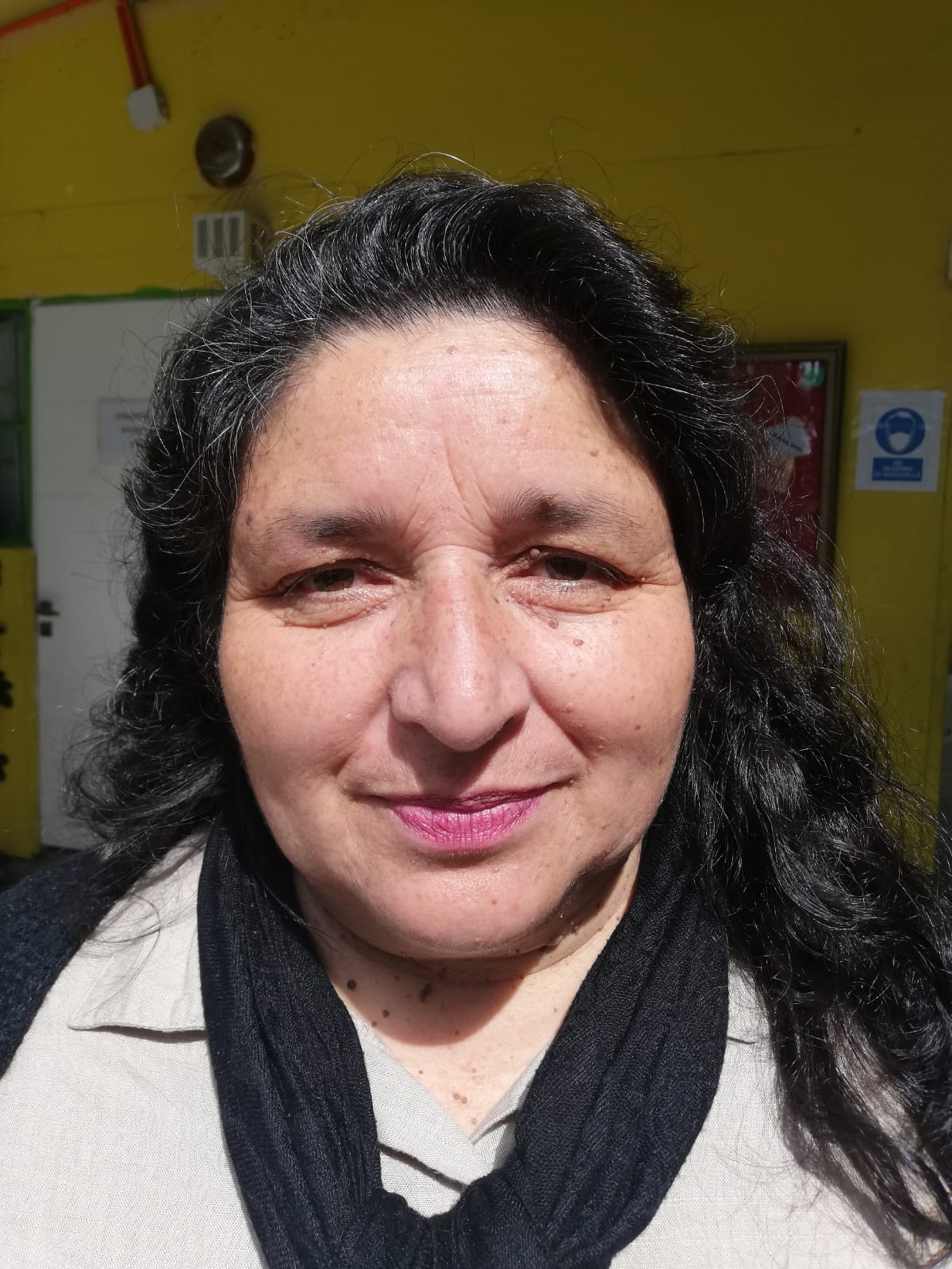Patricia Barría, directora de la Escuela Básica Teniente Serrano de Quilpué