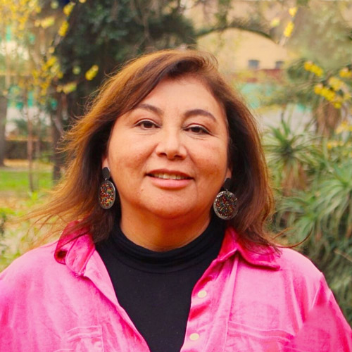 Doctora Marcela Romero, académica del Departamento de Formación Pedagógica y secretaria Académica de la Facultad de Filosofía y Educación de la UMCE
