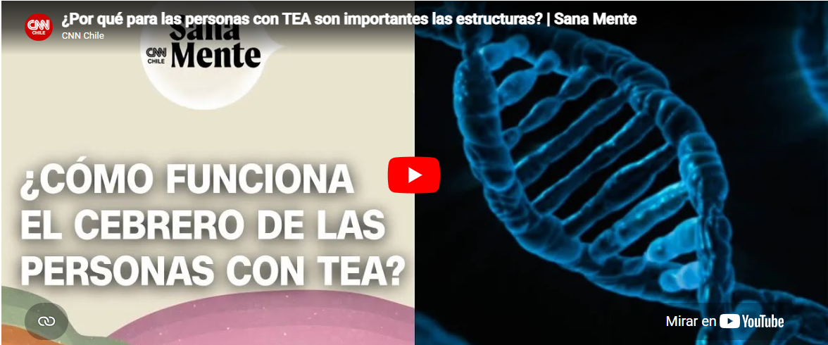 Desarrollo de cerebro TEA | Educarchile
