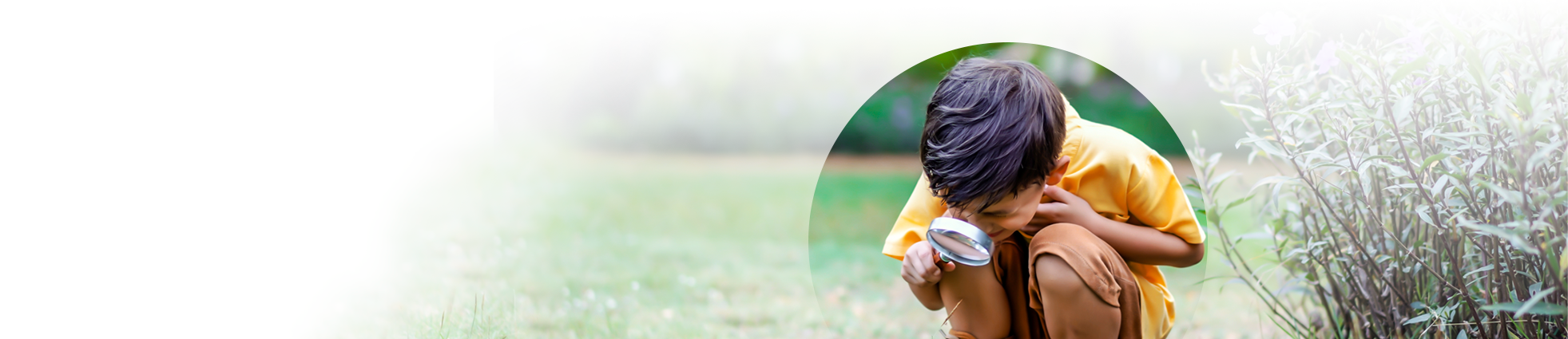 Fotografía al aire libre de niño observando con una lupa.