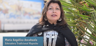 Maria Angélica Ancahuala, educadora tradicional mapuche