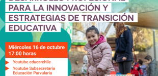 Webinar “Desarrollo Profesional para la innovación y estrategias de transición educativa”