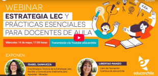 video-webinar-estrategia-lec
