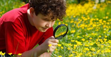 niño apreciando naturaleza