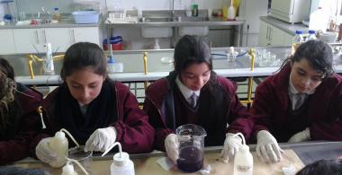 Estudiantes aprenden en el laboratorio
