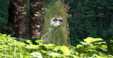 Imagen que muestra diversas especies de flora y un personaje de ficción que simula estar camuflado con plantas. 