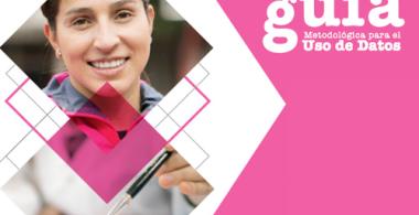 Imagen de la portada de la Guía Metodológica para el Uso de Datos.