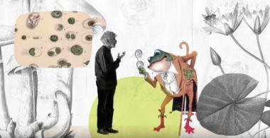 Ilustración de Humberto Maturana conversando con un sapo