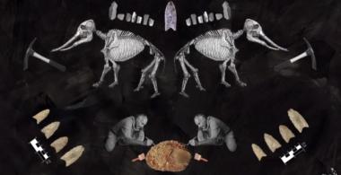 Imagen que muestra esqueletos de dinosaurios y arqueólogos explorando una pieza.