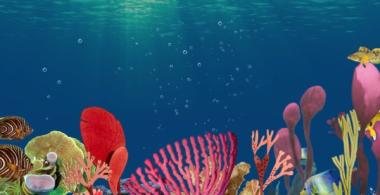 Imagen del fondo marino que muestra corales y peces. 