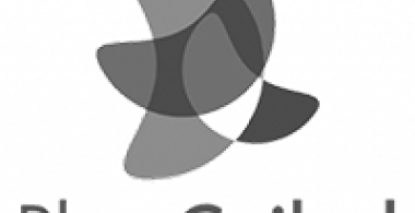 Logo Plan Ceibal