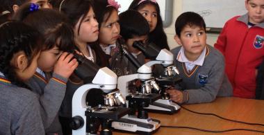 niños y niñas aprenden con microscopios