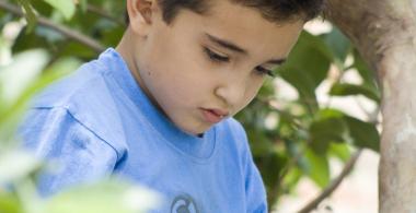 La imagen muestra a un niño sentado en un arbol leyendo un libro