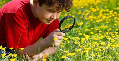 niño observando plantas con lupa