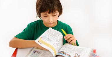 La imagen muestra a un niño revisando un libro de textos 