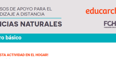 Recursos de apoyo para el aprendizaje a distancia | Ciencias Naturales | 1° básico