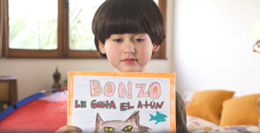 Buscando a Bonzo