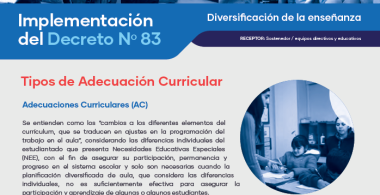 Tipos de adecuación curricular y criterios para su aplicación: adecuaciones curriculares de acceso