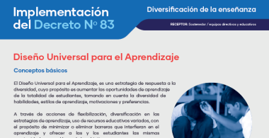 Diseño Universal para el  Aprendizaje: principios básicos