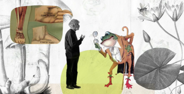 Humberto Maturana: “Vivir es conocer”