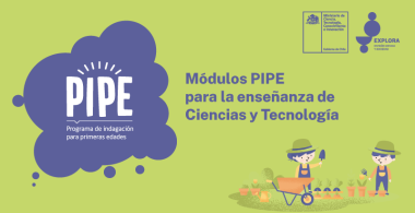 Portada módulos PIPE