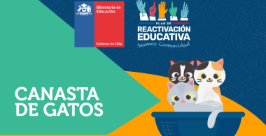 Canasta de gatos