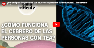 Desarrollo de cerebro TEA