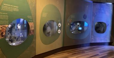 Museo natural de Valparaíso