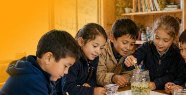 Fotografía de niños y niñas trabajando en equipo.